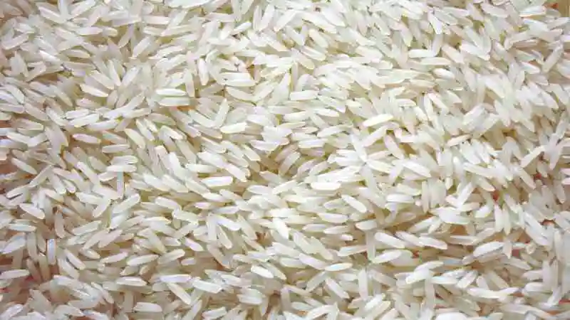 হাইব্রিড ধান চাষ পদ্ধতি ও আধুনিক চাষ প্রযুক্তি