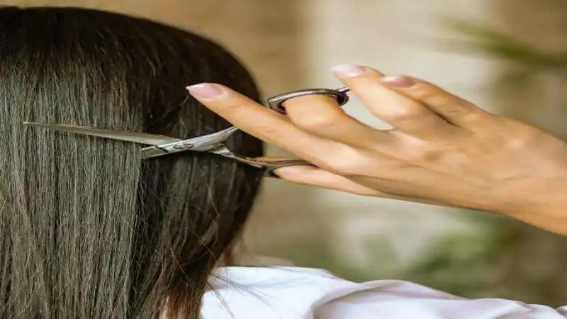 চুল পড়া বন্ধ করার ঘরোয়া নাম ও প্রাকৃতিক সমাধানের উপায়