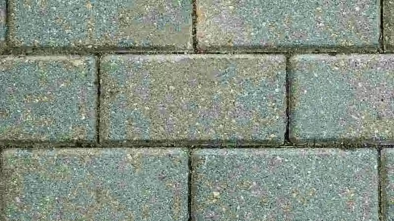 পরিবেশবান্ধব ব্লক ইট দিয়ে টেকসই ও ইকো-ফ্রেন্ডলি ঘর নির্মাণের দৃশ্য