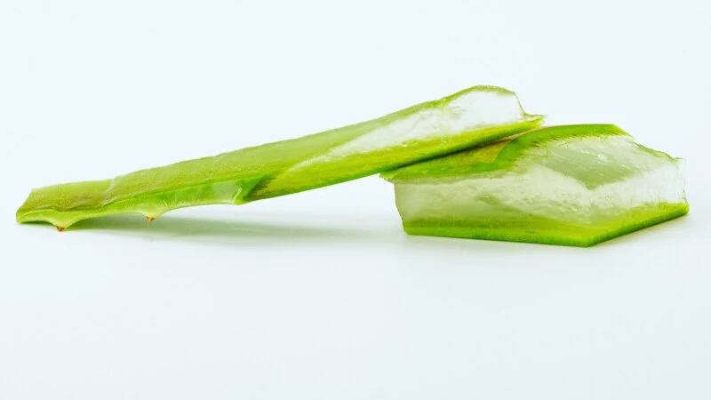 অ্যালোভেরার উপকারিতা ও স্বাস্থ্যগত সুবিধা দেখাচ্ছে