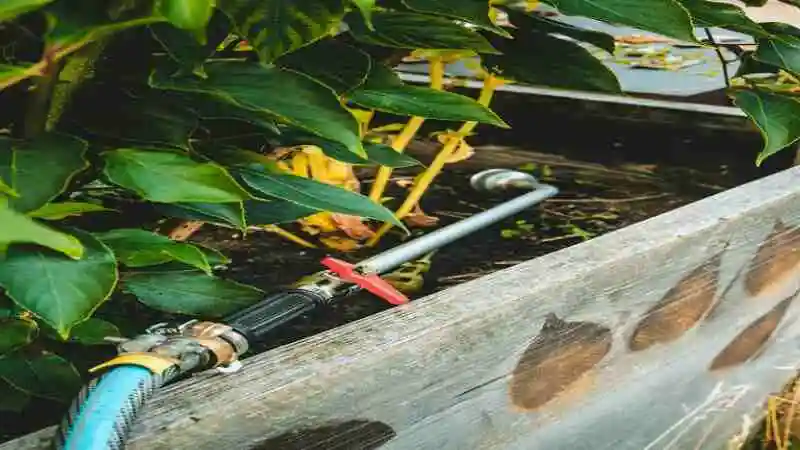 ছাদ বাগানের সেচ ব্যবস্থা ব্যবহার করে গাছের জন্য কার্যকর পানি সরবরাহ