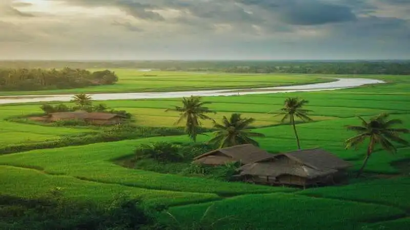 জমির মালিকানা ও দলিল বাতিল করার আইনগত প্রক্রিয়া এবং প্রয়োজনীয় দস্তাবেজ