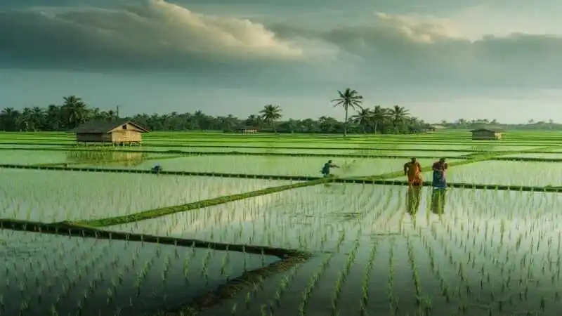 দলিল বাতিল ৩৯ ধারা অনুযায়ী দলিল বাতিলের আইন ও প্রক্রিয়া