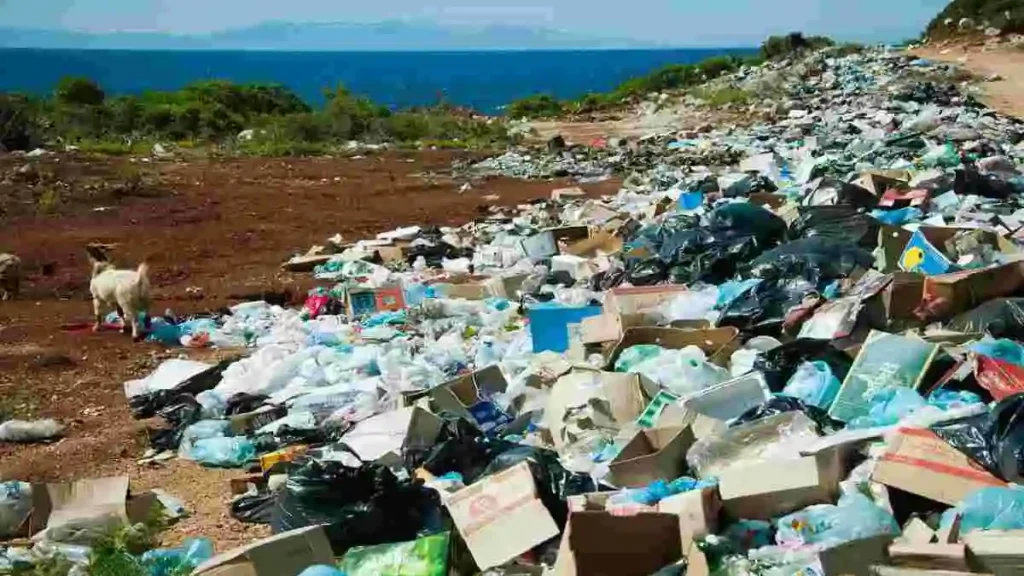 পরিবেশ দূষণ ও এর প্রভাব সম্পর্কিত সচেতনতা বৃদ্ধির তথ্যসমৃদ্ধ ছবি