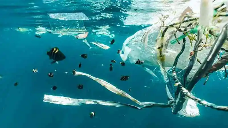 পরিবেশ দূষণের ক্ষতিকর দিক ও মানবস্বাস্থ্যের উপর প্রভাব দেখানো চিত্র