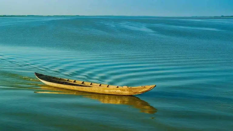 মেঘনা নদী বাংলাদেশের একটি প্রধান নদী যার প্রাকৃতিক সৌন্দর্য ও গুরুত্ব অপরিসীম