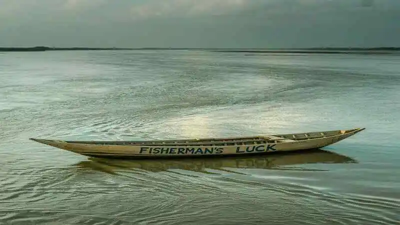 মেঘনা নদীর অর্থনৈতিক গুরুত্ব ও নদীভিত্তিক জীবিকা এবং বাণিজ্যের দৃশ্য