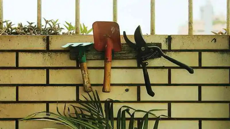 রুফটপ গার্ডেন টুলস সহ ছাদে গার্ডেনিংয়ের প্রয়োজনীয় সরঞ্জামসমূহ