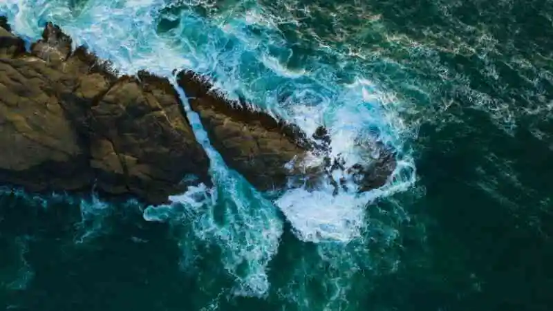 সাগরপৃষ্ঠের উচ্চতা বৃদ্ধি রোধের উপায় সম্পর্কিত সচেতনতা ছবি