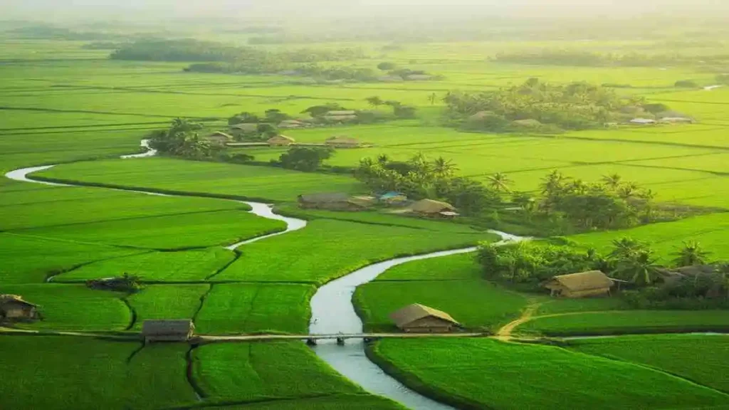 সাত শ্রেণীর জমির দলিল বাতিল এবং এর নিয়ম ও বর্তমান আইন সম্পর্কে বিস্তারিত তথ্য