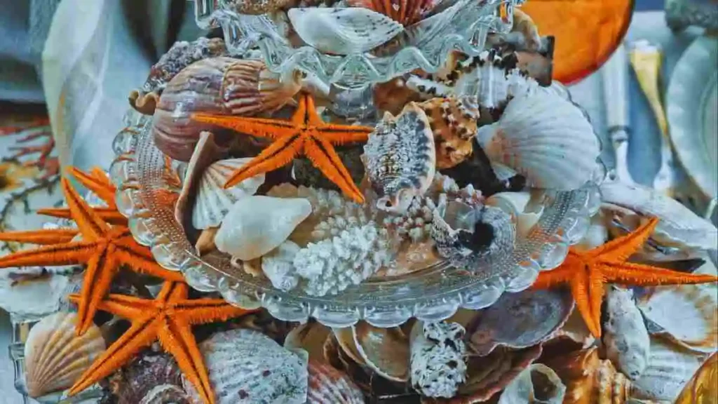 ঝিনুক ও শামুকের হস্তশিল্পের সুন্দর ডিজাইন করা পণ্য