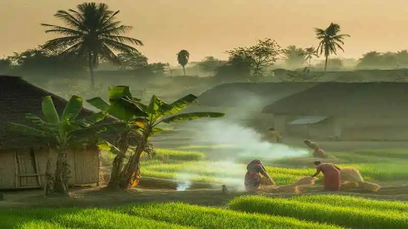 শীত মৌসুমে পরিবেশগত পরিবর্তন – কুয়াশা, শীতল হাওয়া এবং প্রকৃতির রঙের পরিবর্তন