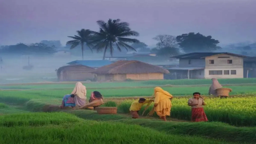 শীতকালীন আবহাওয়া ও কুয়াশাচ্ছন্ন পরিবেশের একটি দৃশ্য