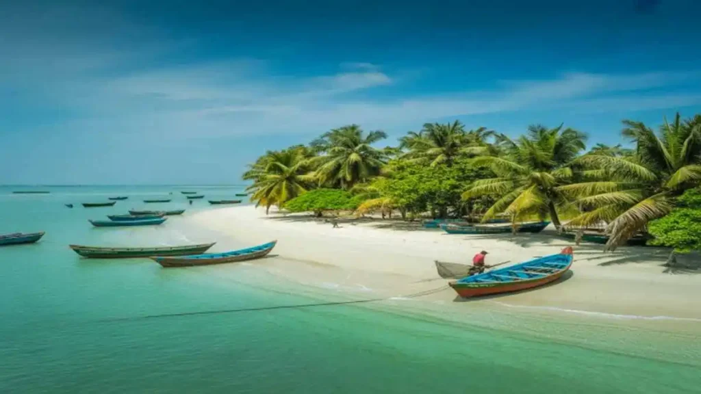 সেন্টমার্টিন ভ্রমণ: নীল সমুদ্র, নারিকেল গাছ ও দ্বীপের প্রাকৃতিক সৌন্দর্য