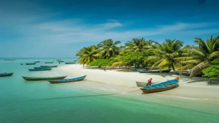 সেন্টমার্টিন ভ্রমণ: নীল সমুদ্র, নারিকেল গাছ ও দ্বীপের প্রাকৃতিক সৌন্দর্য